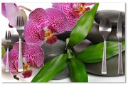 Sablio Prestieranie Orchidey a kamene: 40x30cm