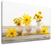 Obraz na stenu ŽLTÉ KVETY_169-11 | rôzne rozmery