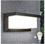 LED RGBW stmievateľné vonkajšie nástenné svietidlo NEELY 1xE27/9W/230V IP54 antracit