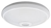 LED Stropné svietidlo so senzorom LED/12W/230V