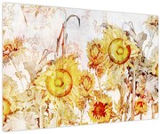 Obraz - Slnečnica, maľba (90x60 cm)