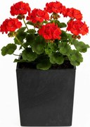 PLASTOVÝ KVETINÁČ FLORE 30,5X29,5X29,5 CM IMITÁCIA BETÓNU ČIERNA