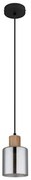 Globo 15768 - Luster na lanku ALEIDIS 1xE27/25W/230V pr. 12 cm GL8203