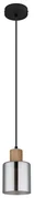 Globo 15768 - Luster na lanku ALEIDIS 1xE27/25W/230V pr. 12 cm GL8203