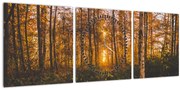 Obraz jesenného lesa (s hodinami) (90x30 cm)
