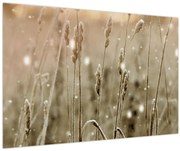 Obraz - Harmonická lúka (90x60 cm)