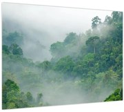 Obraz - Ranná hmla (70x50 cm)