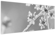 Obraz - Zamrznutá rastlina (120x50 cm)
