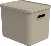 Rotho Úložný box, rovný s vekom, 27l, béžová ALBU LIGHT, 37x29x30