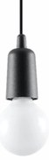 Závesné svietidlo Diego 1, čierne telo svietidla