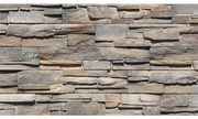 Betónový Obkladový Kameň Saksonia 1