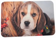 Jesenná gumová rohožka s motívom Beagle, 60 x 40 cm
