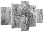 Obraz - Divoká lúka (150x105 cm)