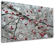 Obraz na stenu STROMY | rôzne rozmery