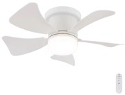 Globo 03609W