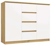 Komoda Malwa 2D4S 120 cm dub artisan/bílá