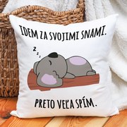 Ahome Vankúš Idem za svojimi snami.