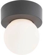 Redo 90641 - Vonkajšie stropné svietidlo BULK 1xE27/28W/230V IP44 antracit