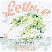 Obraz tlačený na plátne 40x40 PRC961