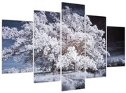 Obraz - Snehobiely strom (150x105 cm)