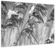 Obraz - Lipnica, čiernobiela (70x50 cm)