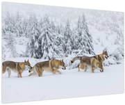 Obraz - Vlci v horách (90x60 cm)
