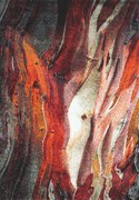 Spoltex, Kusový koberec Rust red 21304-910, 160x230, viacfarebná, obývacia izba