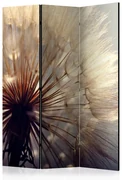 Artgeist Paraván - Dandelion Kiss [Room Dividers]