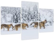 Obraz - Vlci v horách (90x60 cm)