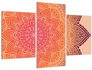 Obraz - Mandala umenia (90x60 cm)