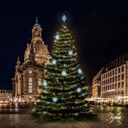 DECOLED LED světelná sada na vánoční stromy vysoké 18-20 m, teplá bílá s Flash, ledové dekory DZXEFD08