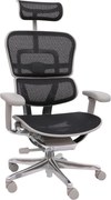 Grospol - Kancelárske kreslo Ergohuman 2 Elite GS Black
