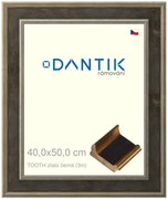 DANTIK rám na obraz 40x50 | TOOTH zlato černá (Plexi Čiré)