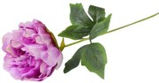 Peonia 52cm svetlofialová A2010437