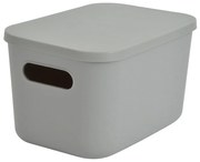 Sivý plastový úložný box s vekom 24,5x18x15 cm – Homéa