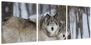 Obraz - Vlci v zime (s hodinami) (90x30 cm)