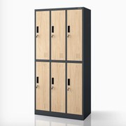 Šatňová skrinka BOZP 6-dverová antracitová/dub sonoma, 900x1850x450 mm: IGOR Eco Design