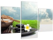 Obraz - Spa and relax (90x60 cm)