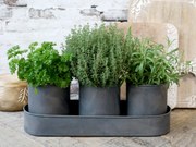 Set 3ks plechový obal na kvetináč s táckou Pintio - Ø 10*12/ 36*12*5,5 cm