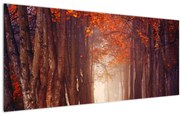 Obraz - Jesenné les (120x50 cm)