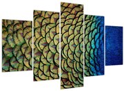 Obraz - Pávie perie (150x105 cm)