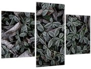 Obraz - Zamrznuté rastliny (90x60 cm)