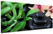 Obraz - Kamene a orchidey (120x50 cm)