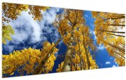 Obraz - Aspen (120x50 cm)