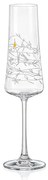 Crystalex GARDEN poháre na sekt 210 ml, 2 ks
