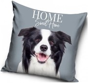 Dekoračný vankúš Šteňa Border kólie - 40 x 40 cm