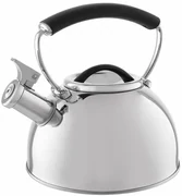 Florina Čajník Asta, 2,3 l