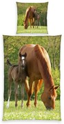 Herding Detské bavlnené obliečky Horse, 135 x 200 cm, 80 x 80 cm