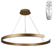 Moderné svietidlo NEDES LED svietidlo + diaľkový ovládač 100W J4327/G