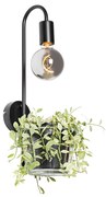 Moderná nástenná lampa čierna so sklom - Roslini